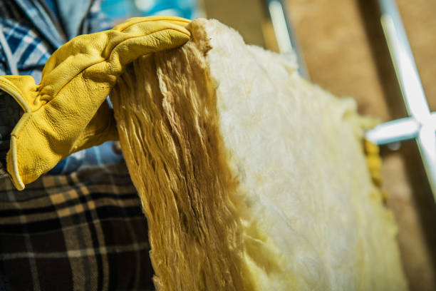 Professional Insulation Contractor in Edgewood, NM