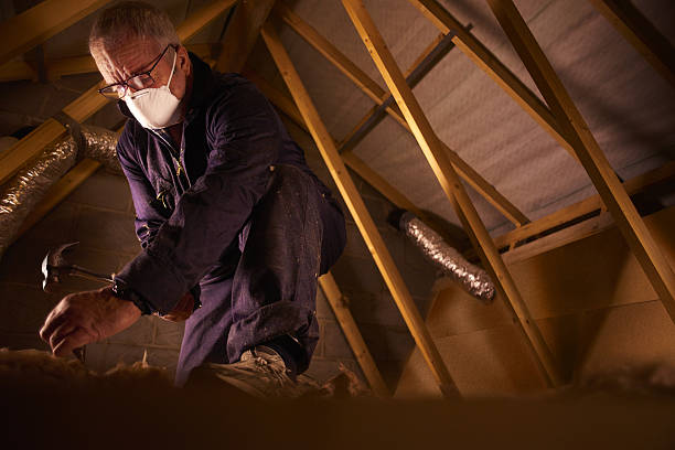 Best Insulation for New Construction  in Edgewood, NM
